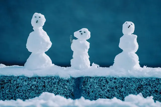 Seasonal Family Activities Everyone Can Enjoy