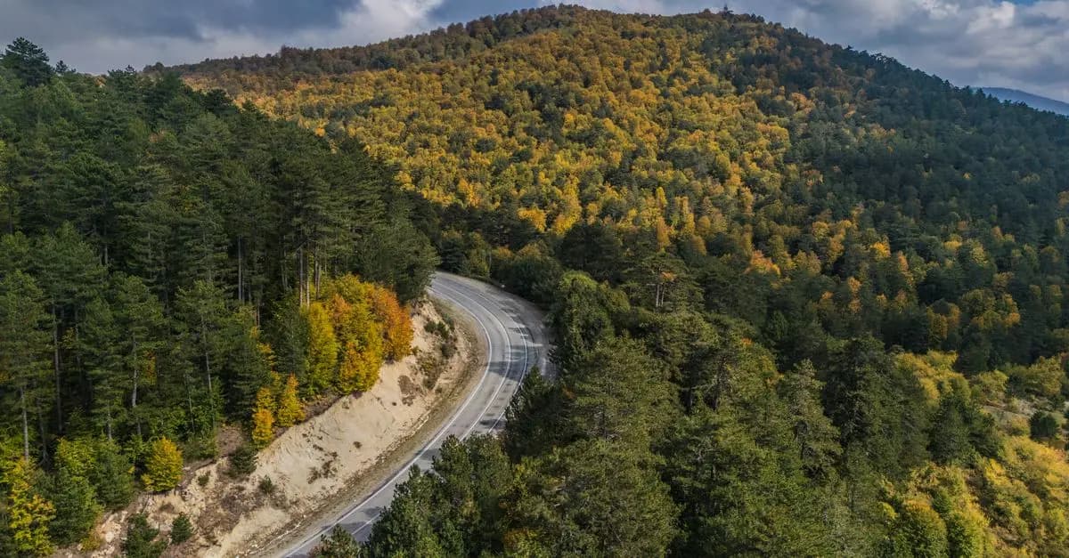Creative Family Road Trip Ideas for an Unforgettable Journey