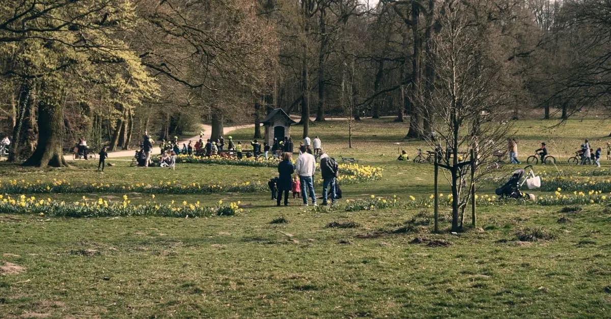 Fun Outdoor Activities for Families to Enjoy Together