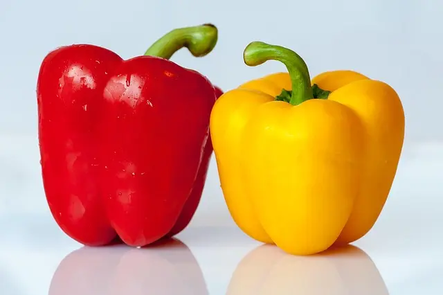 10 Engaging Family Cooking Ideas for Fun Together