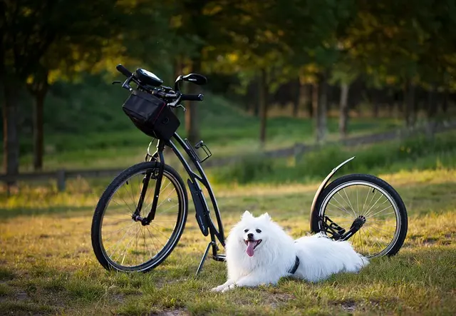 10 Fun Family Outdoor Activities to Enjoy Together