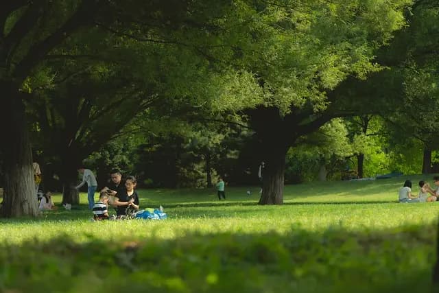 10 Creative Ideas for Family Bonding During Weekend Getaways