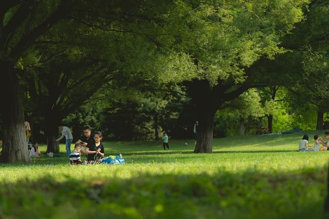 10 Creative Ideas for Unique Family Outings